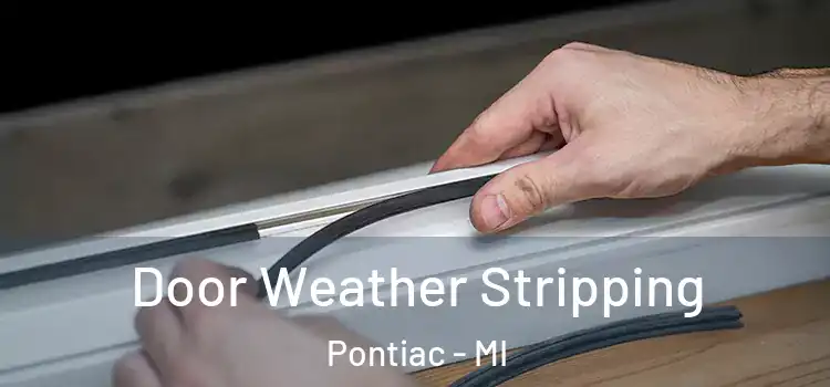 Door Weather Stripping Pontiac - MI